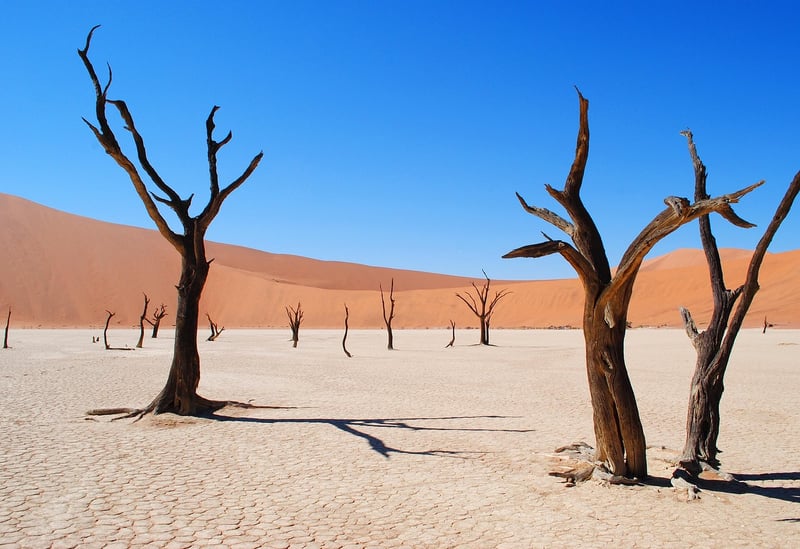 Namib Desert